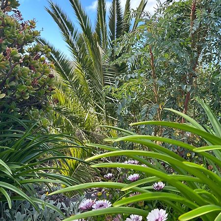 Villa Casa Buenavida Alajeró Esterno foto
