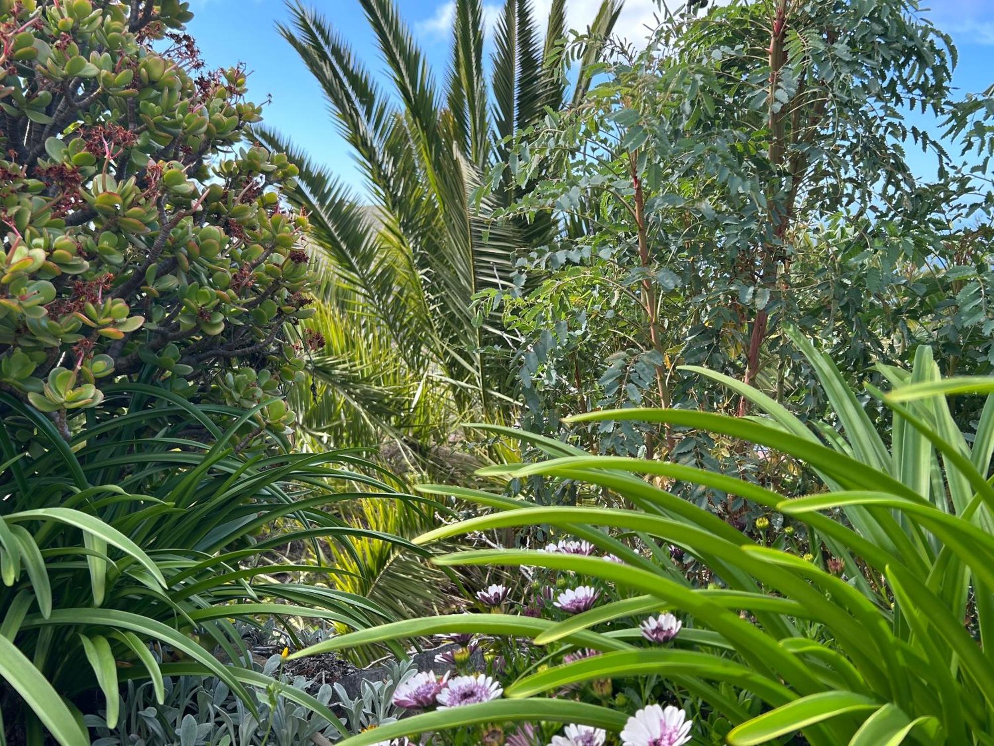 Villa Casa Buenavida Alajeró Esterno foto