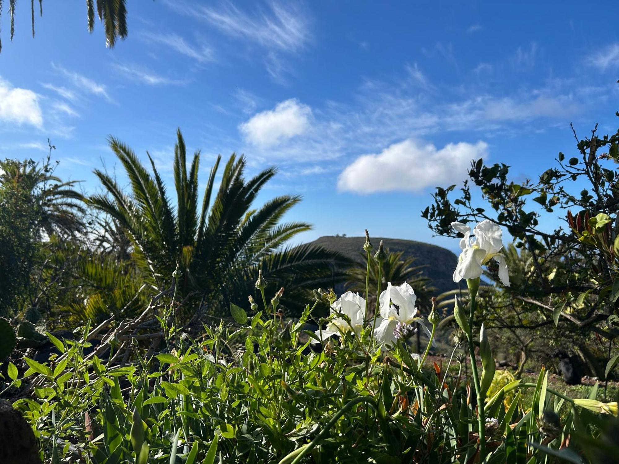 Villa Casa Buenavida Alajeró Esterno foto